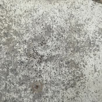 Ata Arms Ata Venza Av Tüfeği