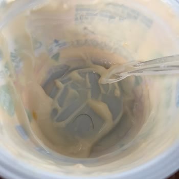 Dost Meyveli Yoğurt İçerisinde Kıl Çıkması!