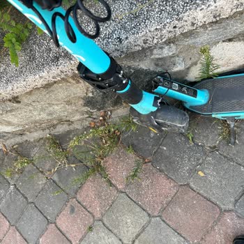 BinBin İle Kaza Yaptım Ne Yapmalıyım?
