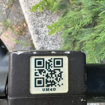 BinBin İle Kaza Yaptım Ne Yapmalıyım?