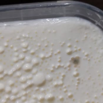 Yine A101 Yine Bozuk Küflenmiş Ürün