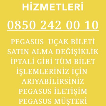 Pegasus Müşteri Hizmeti Gibi Çalışan Sahte Numara 08502420010