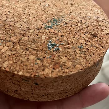 IKEA Sürahi Kapağı Suyla Küflendi