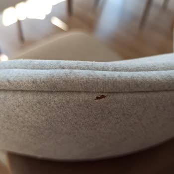 NdesigN'den Aldığım Latte Yemek Odası Takımı Hüsranı