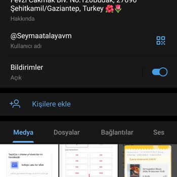 Telegram Para Çekme İşlemleriyle İlgili Sorunlar