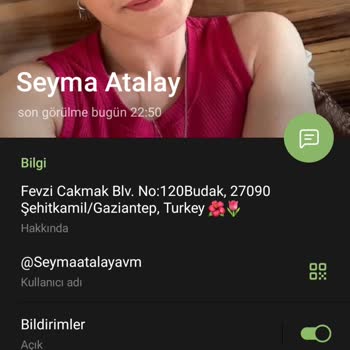 Telegram Para Çekme İşlemleriyle İlgili Sorunlar