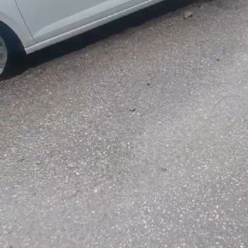 Gdz Elektrik Dağıtım Gediz Elektriğin Yol Çalışması