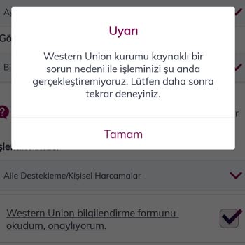 Western Union Online Bankacılık Limit Sorunu