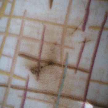 Duru Halı Yıkama (Çiğli) Çiğli Ata Sanayi Vasat Duru Halı Yıkama