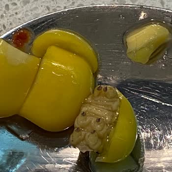 Superfresh Üründen Kurt Çıktı