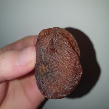 Peyman Kuru Kayısı Kurtçuk