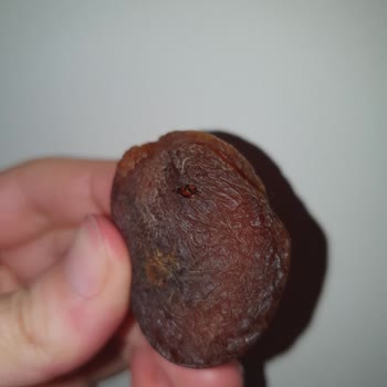 Peyman Kuru Kayısı Kurtçuk