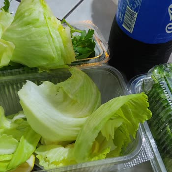 Komagene Marul Çok Salata Yok