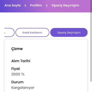 Lostra Sepeti Orijinal Louise Vuitton Çantamı Bu Lostra Bozdu. Kaç Bin Lira Çöp!