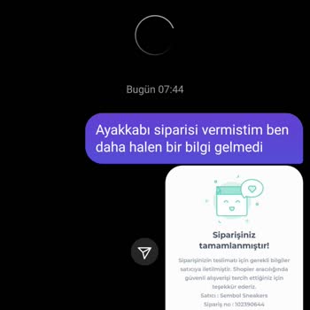 Shopier Satış Sitesinden Alışveriş Yaparken Yaşadığım Sorunlar
