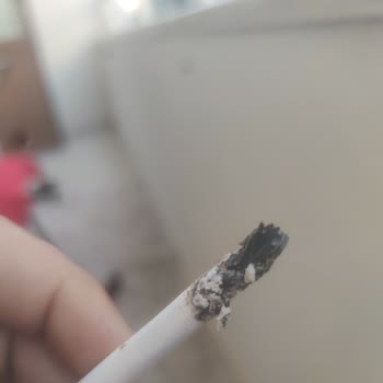 Parliament Odun Çıkıyor