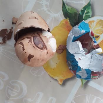 Marketten Aldığım Ozmo Yumurta Kafa Bozuk Çıktı!