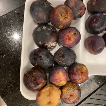 Migros Zehirliyor Küflü Çürük Ürün Gönderdi