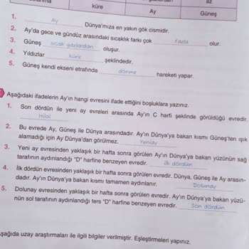 Trendyol Değişim Kodu Vermiyor
