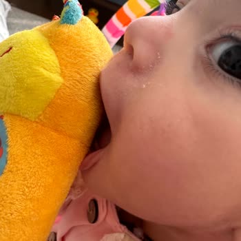 Mustela Ciltte Kuruluk Yaşandı