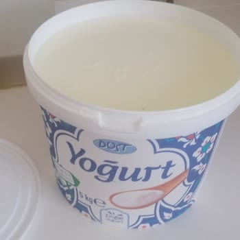 Dost Yoğurttan Sinek Çıktı