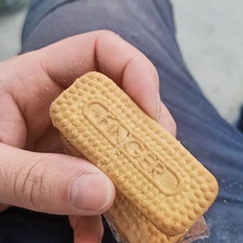 Gesaş Gıda İçerisinde Yabancı Madde Çıktı