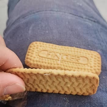 Gesaş Gıda İçerisinde Yabancı Madde Çıktı