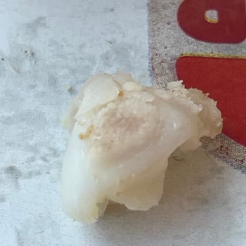 Burger King Tavuk Burgerde Kıkırdak Çıkması