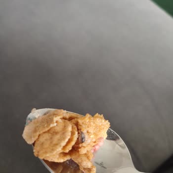 Kellogg's İçinden Çıkan Böcek