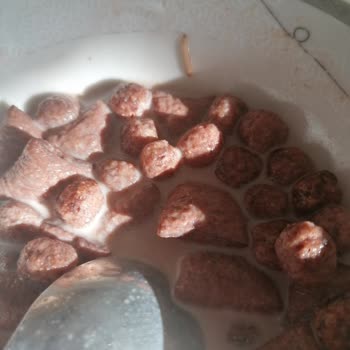 Nestle Üründen Kurt Çıktı