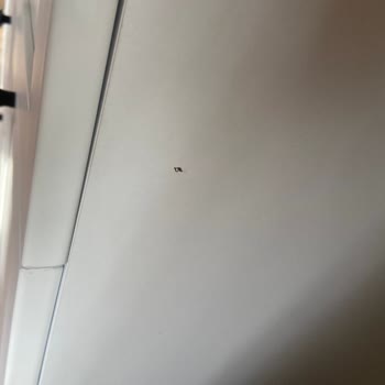 Vivense'den Aldığım Karyolanın Kalitesizliği