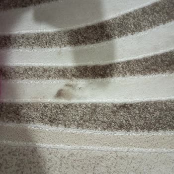 Mavi Nehir Halı Yıkama Lekeli Gelen Halı