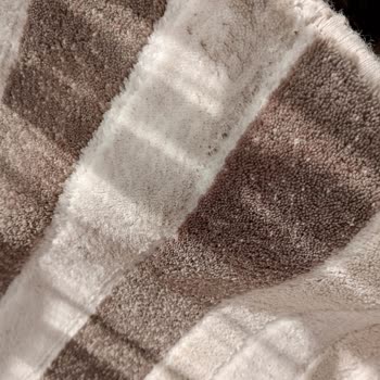 Mavi Nehir Halı Yıkama Lekeli Gelen Halı