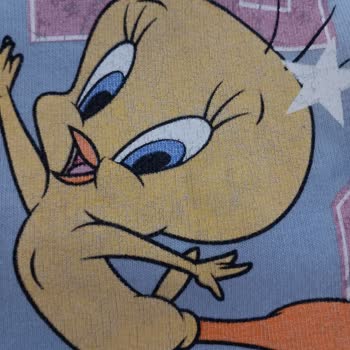 Koton'un İlk Yikama Da Mahvolan Sweatshirtleri