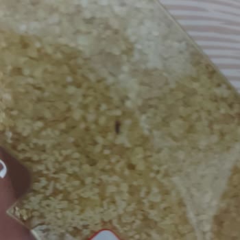 Migros Sanal Market Siparişimde Böceklenme Ve Hasarlı Ürünler!