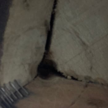 Vivense Koltuk İskelet Problemi