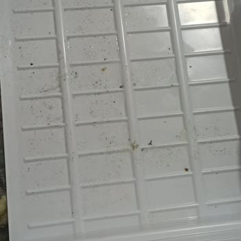 Arçelik Buzdolabı Gövde Gaz Kaçağı Ve Tamir Olmaması!