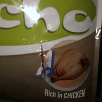 Temiz Mama Patlak Kedi Maması Torbası