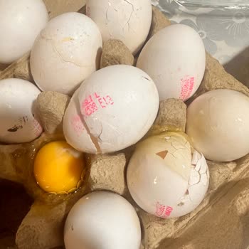 Migros Defolu Ürün Teslimatı