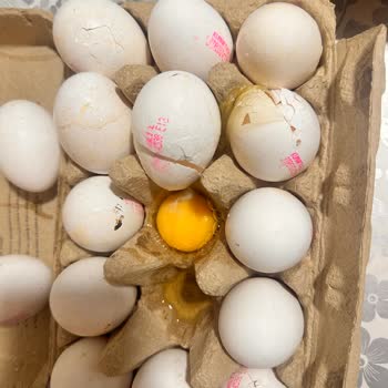 Migros Defolu Ürün Teslimatı