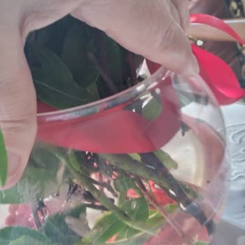 ÇiçekSepeti Siparişinin Hüsranlığı