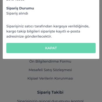 Shiny Force Kargomun Elime Ulaşmaması