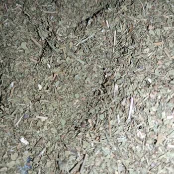 BİM BİM BİM Baharatlardan Böcek Çıktı