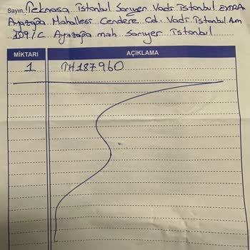 Teknosa Electrolux Elektrikli Süpürge Arıza