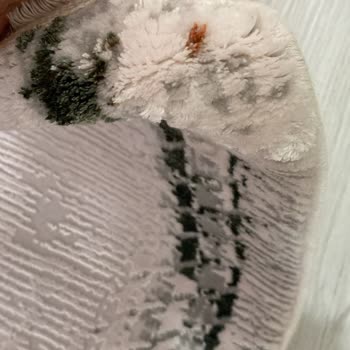 Buca Büker Halı Halılarımı Mahvetti