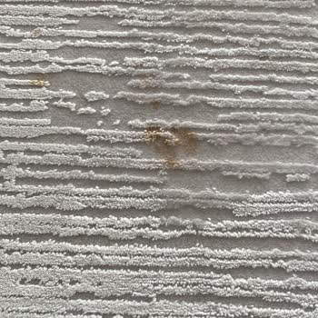 Buca Büker Halı Halılarımı Mahvetti