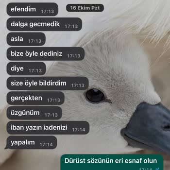 Perde.com Ürün Tarafıma Gönderilmedi Ve Param Da İade Edilmedi Şikayetçiyim