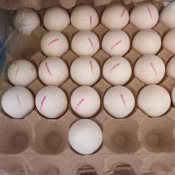 BİM'de Çürük Kokmuş Yumurta Satılıyor Dikkat!