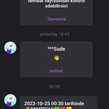 Litmeç Ban İhlali