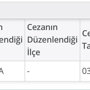Yeğenbey Vergi Dairesi Müdürlüğü E Devletten Silinmeyen Ceza